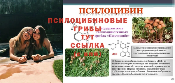 кокс Белокуриха